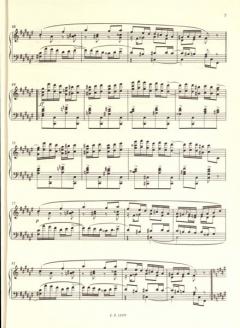 Ausgewählte Klavierstücke Band 1 von Mili Alexejewitsch Balakirew im Alle Noten Shop kaufen