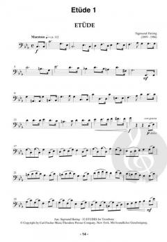 D-Literatur: Instrumentallehrgang Posaune - Neuausgabe 2018 im Alle Noten Shop kaufen