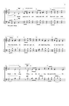 Sweet Babe Lullaby von Bryan Greer 