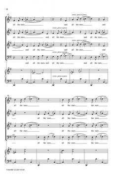 Tagore's Lost Star von Carol Barnett 