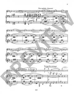 Andante und Finale von Nikolai Tcherepnin für Violine und Klavier im Alle Noten Shop kaufen