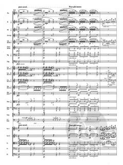 Symphonie c-Moll op. 27 von Josef Suk 