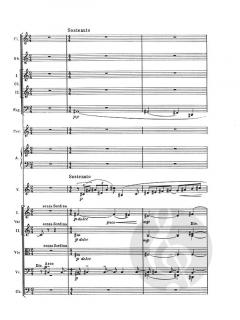 Vocalizzo for Mezzo Soprano and Orchestra von Ildebrando Pizzetti 