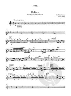 Encore Arrangments for Flute Quartet 