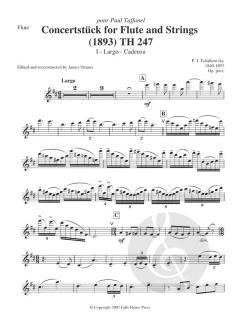 Concertstuck von Pjotr Iljitsch Tschaikowski 