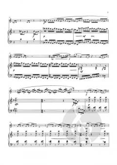 Small Sonata for A Large Flute von Gary Schocker 