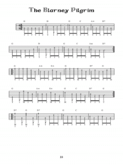 Easy Irish and Celtic Session Tunes von Tom Hanway 