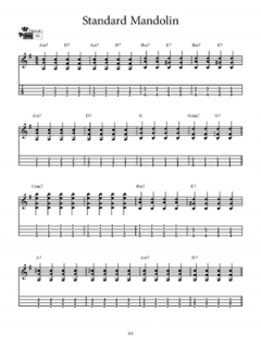 Mandolin For Violinists (Andrew Driscoll) 