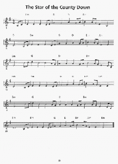 Making Music For Folk Harp von Sue Raimond 