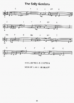 Making Music For Folk Harp von Sue Raimond 