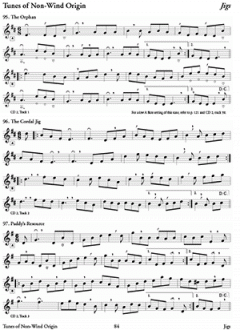 150 Gems of Irish Music for Flute 