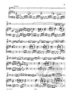 Konzert Nr. 2 E-Dur BWV 1042 von Johann Sebastian Bach 