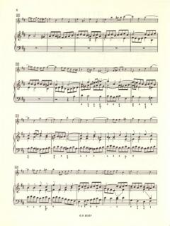 Suite (Ouvertüre) Nr. 2 h-Moll BWV 1067 von Johann Sebastian Bach für Flöte und Streichorchester im Alle Noten Shop kaufen - Q4921