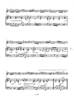 5 Sonate a volino e basso per il cembalo von Antonio Vivaldi 