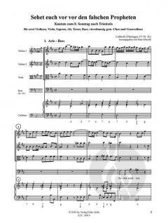 Sehet euch vor vor den falschen Propheten von Liebhold 