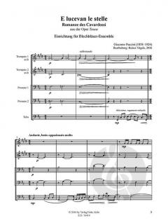 Zwei berühmte Arien von Giacomo Puccini 