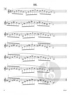 Lip Flexibilities von Bai Lin 