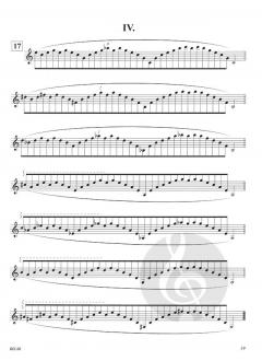 Lip Flexibilities von Bai Lin 