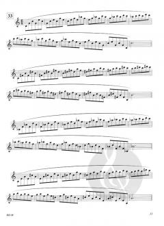 Lip Flexibilities von Bai Lin 