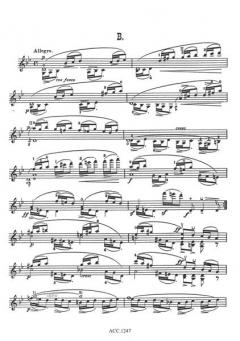 Etudes characteristiques op. 24 von Edward Elgar 