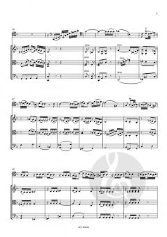 Andante F-Dur KV 315 für Fagott und Streichtrio (W.A. Mozart) 