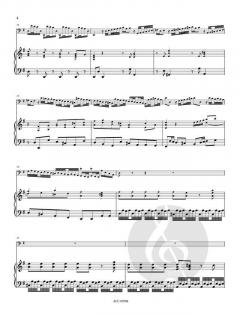 Konzert G-Dur RV 493 (Antonio Vivaldi) 