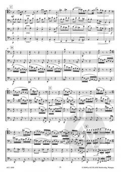 Thema und Variationen d-moll op.18 (Johannes Brahms) 