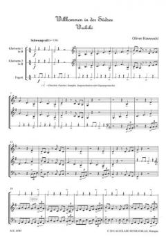 Willkommen in der Südsee von Oliver Hasenzahl für Holzbläser Trio im Alle Noten Shop kaufen - ACC1058F