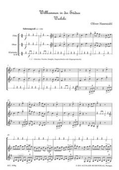 Willkommen in der Südsee von Oliver Hasenzahl für Holzbläser Trio im Alle Noten Shop kaufen - ACC1058G