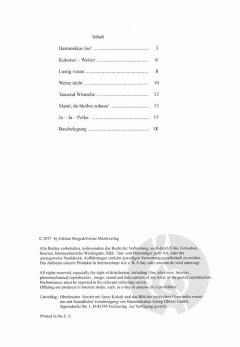 Legendäre Melodien im Oberkrainer-Arrangement 6 von Janes Kalsek 