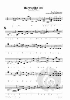 Legendäre Melodien im Oberkrainer-Arrangement 6 von Janes Kalsek 