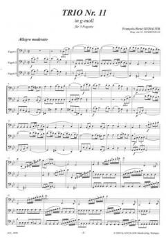 Trio Nr.11 g-moll (François-René Gebauer) 