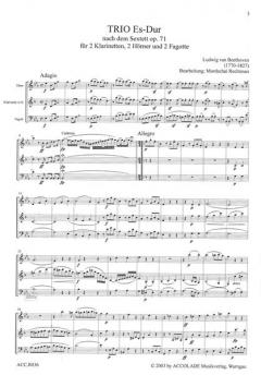 Trio Es-Dur nach dem Sextett op.71 von Ludwig van Beethoven für Holzbläser Trio im Alle Noten Shop kaufen