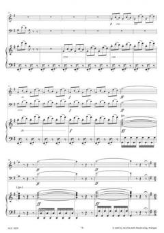 Fantaisie concertante über 'Semiramis' von Rossini (Eugene Jancourt) 