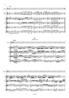 Konzert F-Dur von Andreas Schwarz 