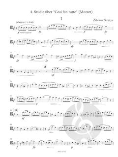 Studien über Orchesterstellen (Zilvinas Smalys) 