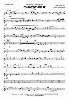 Wunderbar bist Du - Polka von Alpenblech 