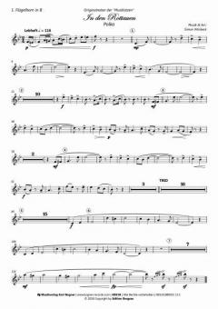 In den Rottauen von MusiKatzen 