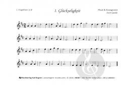 30 Weisen für alle Festlichkeiten von Erich Gawlik 