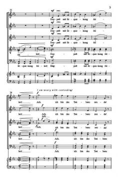 Wandrer's Nachtlied I von Blake Wilson 