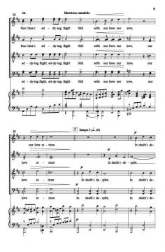 Sudden Light von Thomas Juneau 