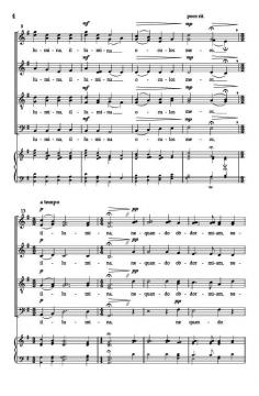 Illumina von Patrick Hawes 