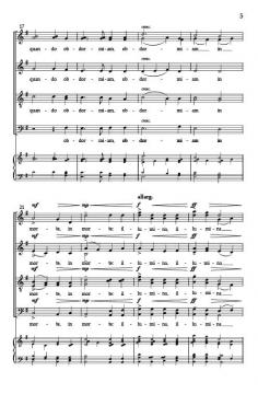 Illumina von Patrick Hawes 