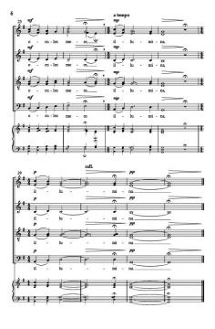 Illumina von Patrick Hawes 