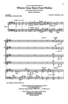 Where Your Bare Foot Walks von David N. Childs 