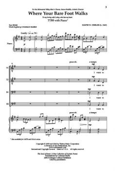 Where Your Bare Foot Walks von David N. Childs 