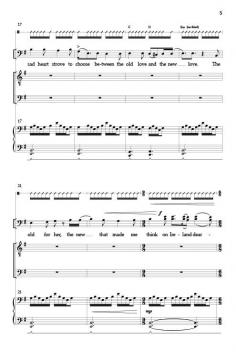 The Wind that Shakes the Barley von Robert Dwyer Joyce 