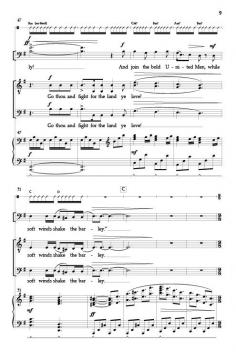 The Wind that Shakes the Barley von Robert Dwyer Joyce 