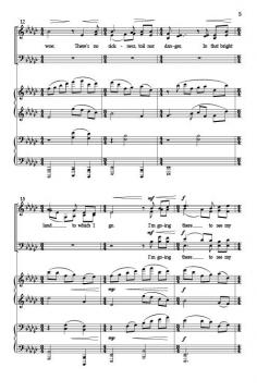 Wayfaring Stranger von William Averitt 