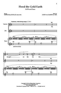 Flood the Gold Earth von David van Kampen 